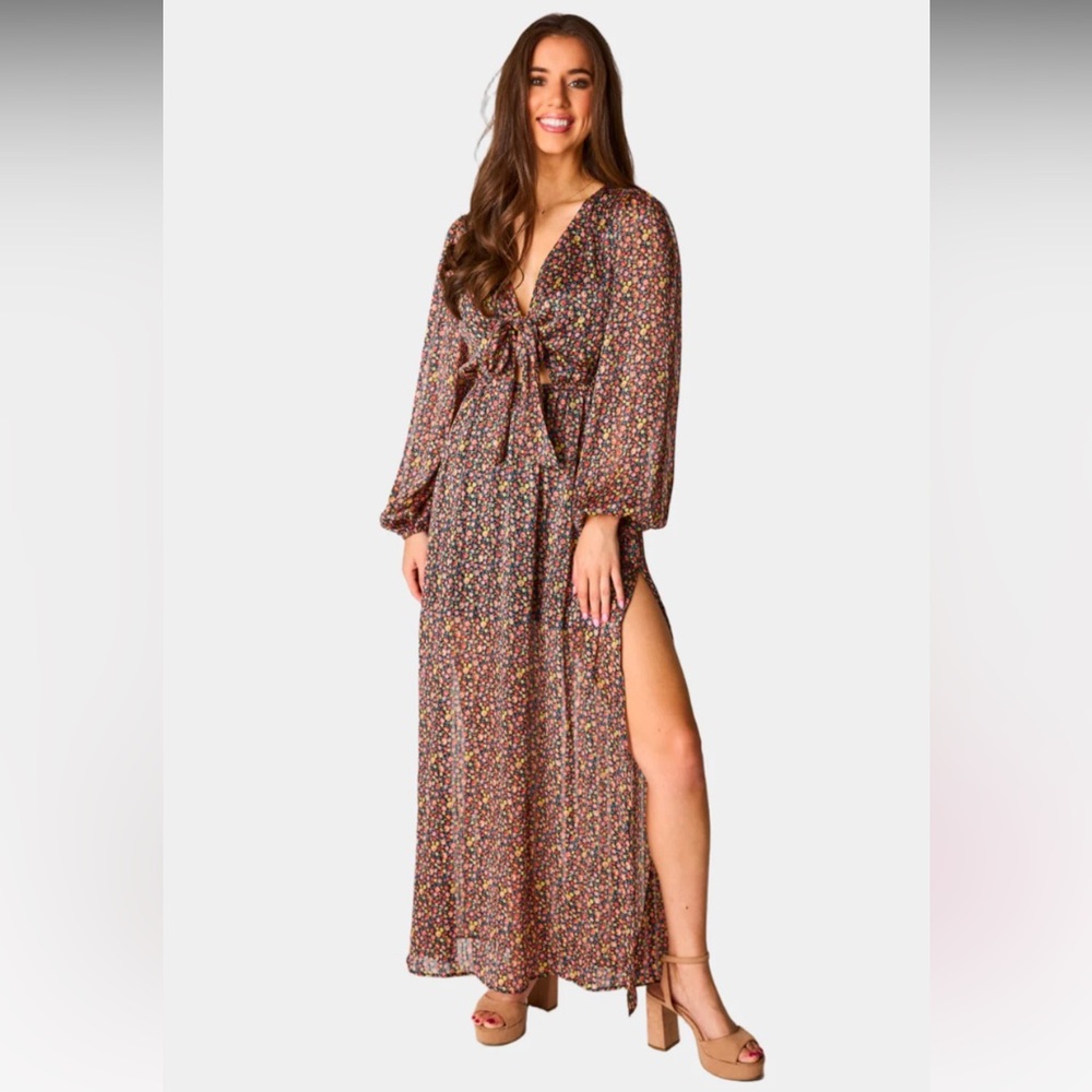 NWT Buddy Love DESIRAE LONG SLEEVE MAXI DRESS
